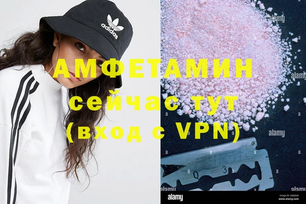 трава Медвежьегорск