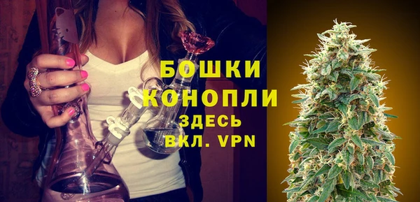 трава Медвежьегорск
