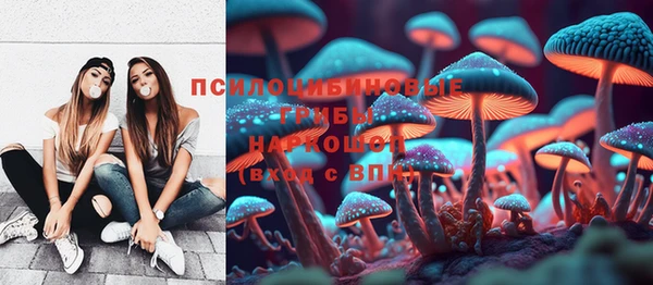 меф Мегион